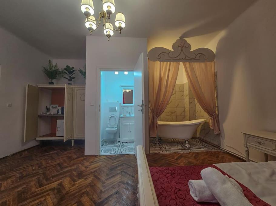 Apartament Ludovic Boutique Braszów Zewnętrze zdjęcie